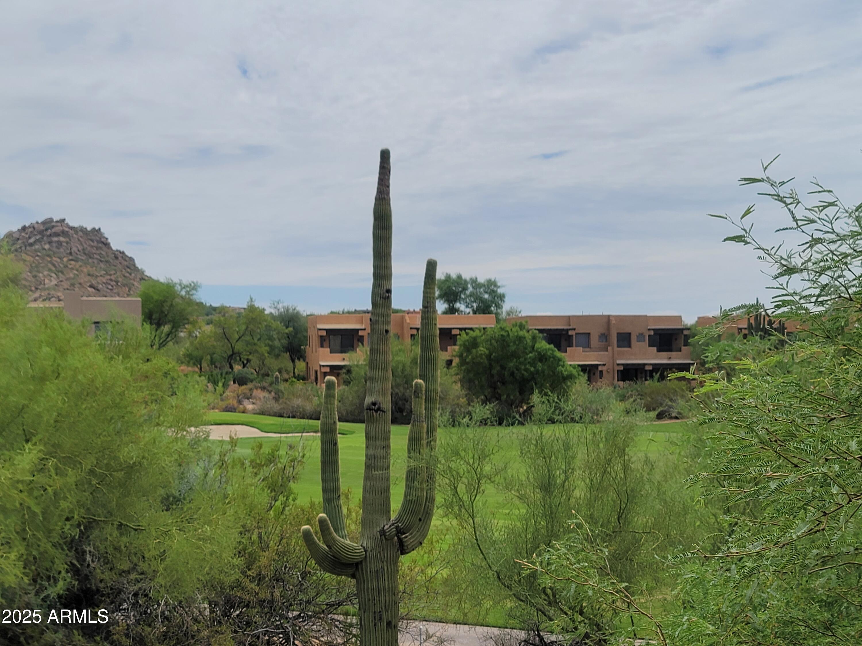 10260 East White Feather Lane, Unit 2003 Scottsdale, AZ 85262 - Photo 23 of 24 a view of a garden with a building in the background