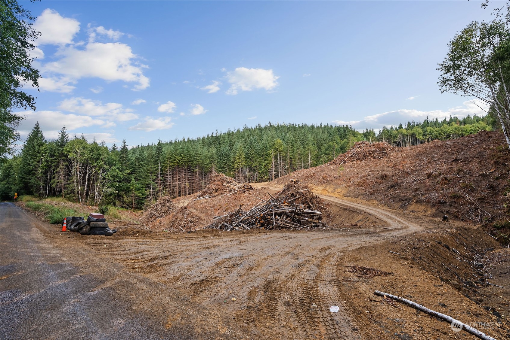 -xx Rue Creek Road Raymond, WA 98577 - Photo 12 of 12 Gallery Image 12