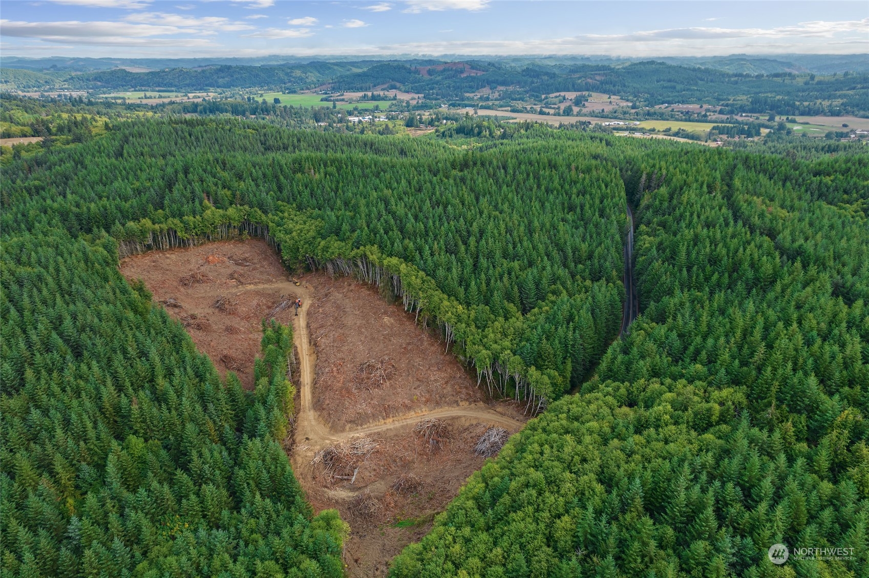 -xx Rue Creek Road Raymond, WA 98577 - Photo 3 of 12 Gallery Image 3