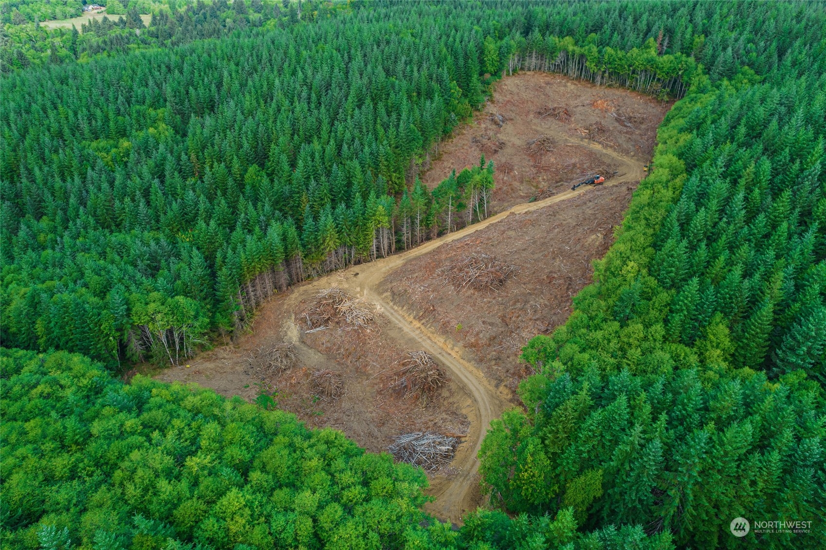 -xx Rue Creek Road Raymond, WA 98577 - Photo 4 of 12 Gallery Image 4