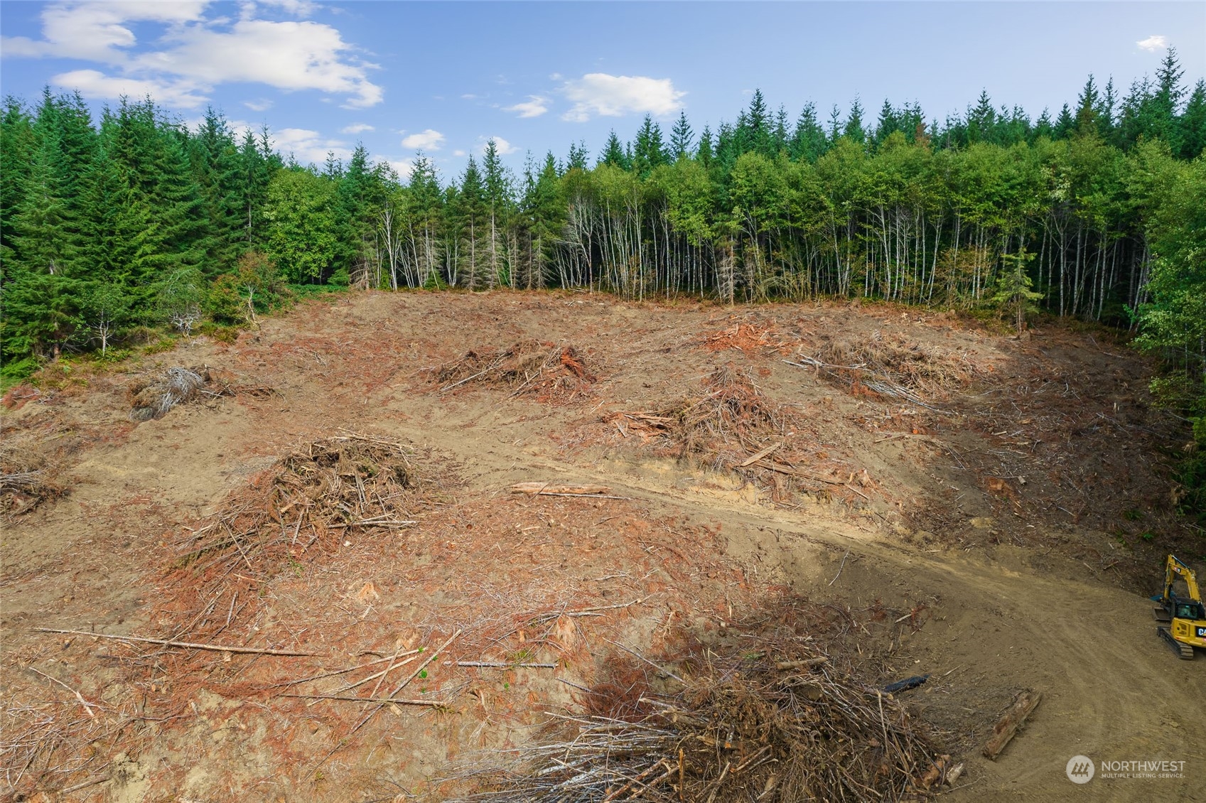 -xx Rue Creek Road Raymond, WA 98577 - Photo 9 of 12 Gallery Image 9