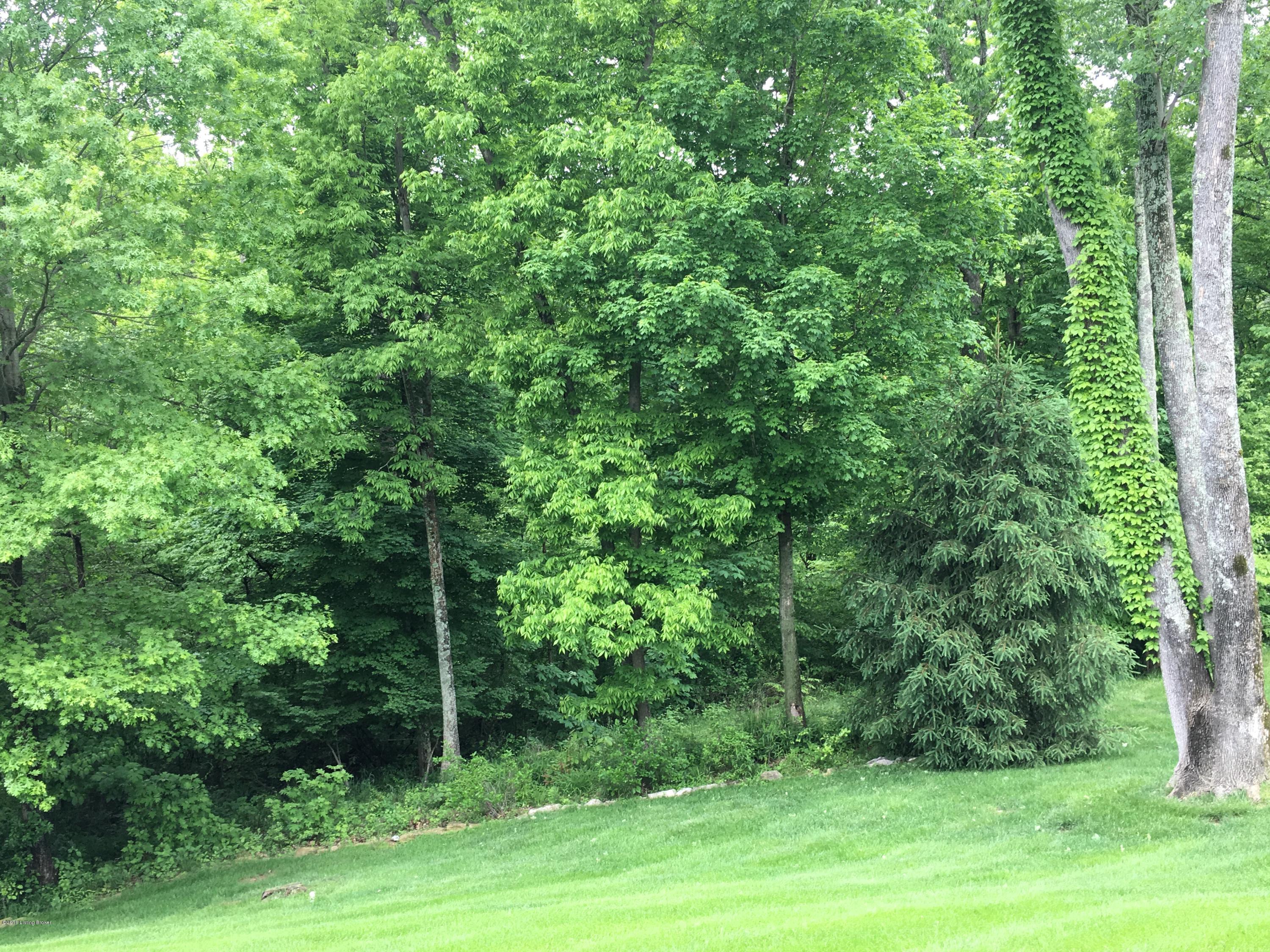3205 Ridge Brook Court Prospect, KY 40059 - Photo 64 of 66 image