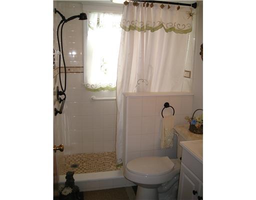 242 Howes Run Road Sarver, PA 16055 - Photo 6 of 12 Master Bath/Spa.