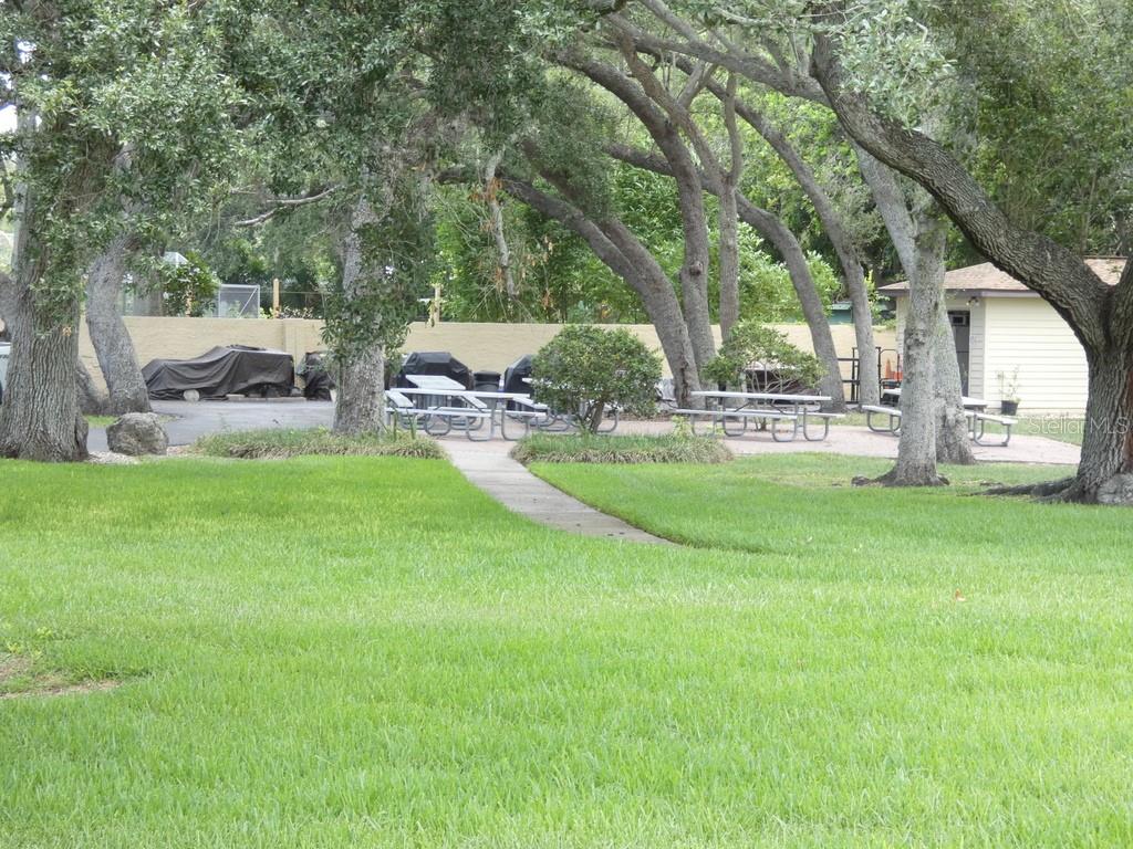 1701 Pinehurst Road, Unit 9G Dunedin, FL 34698 - Photo 19 of 22 a view of a park with large trees