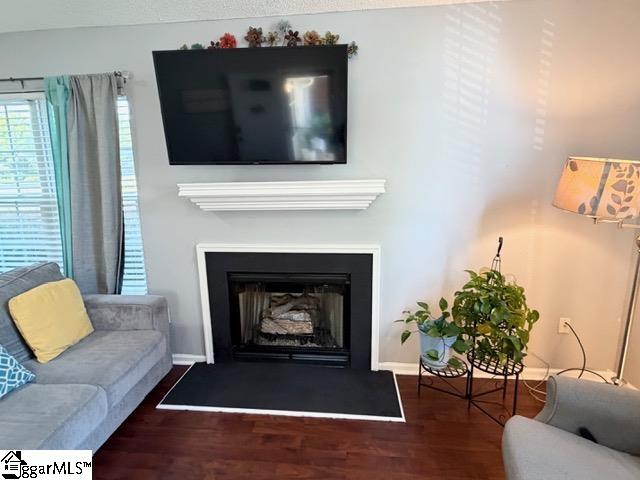 14 Bailess Court Greer, SC 29650 - Photo 4 of 24