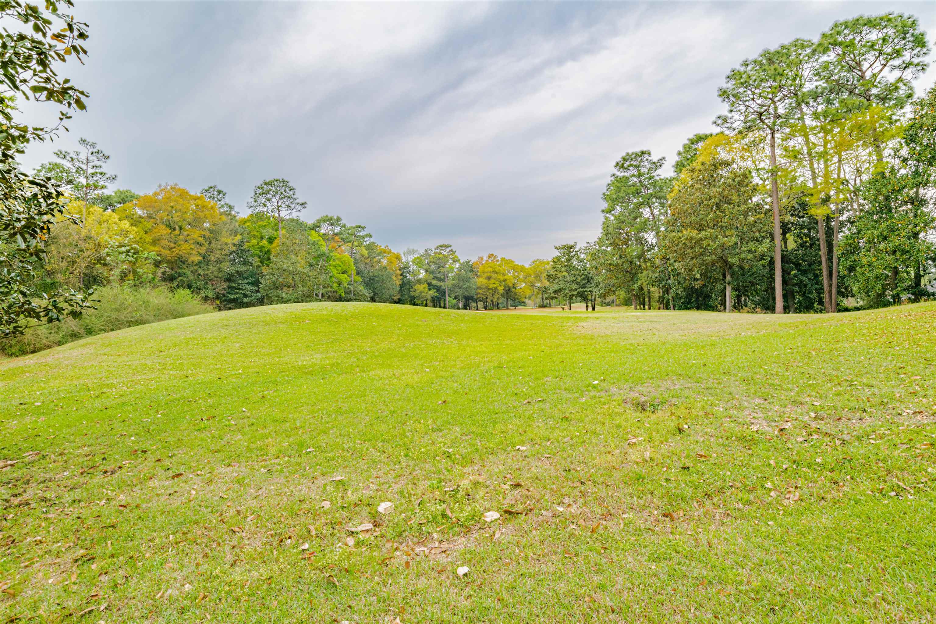 30155 Green Court Daphne, AL 36527 - Photo 25 of 46 First Hole