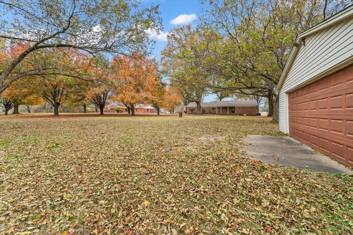 10060 Rosemark Road Atoka, TN 38004 - Photo 24 of 26 a backyard of a house with lots of green space