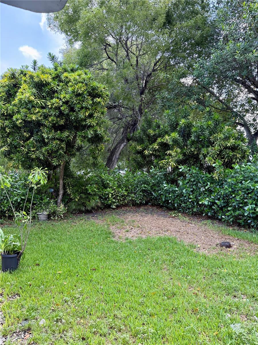 1085 Northwest 48th Street Miami, FL 33127 - Photo 14 of 14 front yard