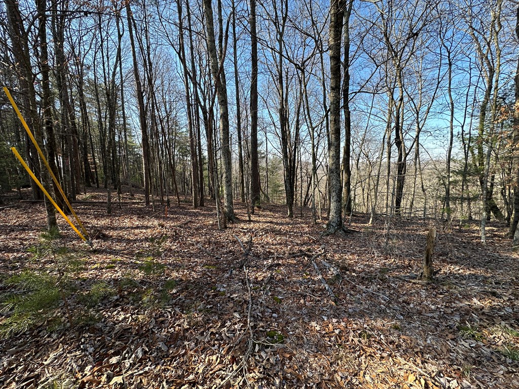 Lot 1640 Hunter Drive Ranger, GA 30734 - Photo 5 of 9 a view of outdoor space with deck and tree