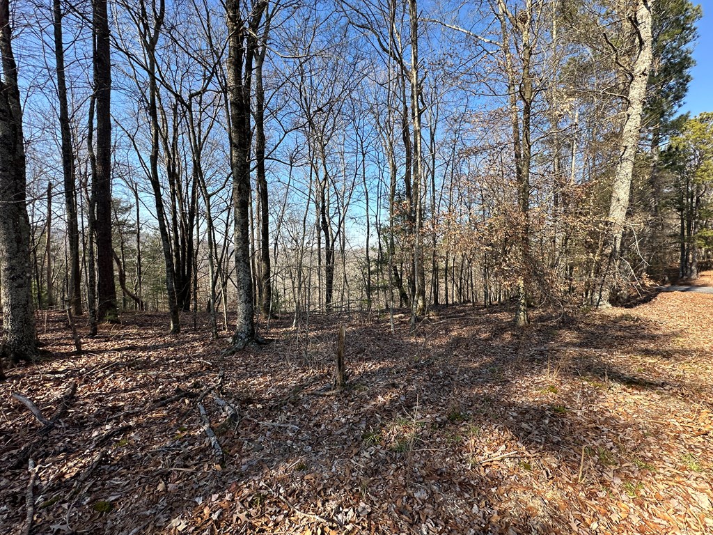 Lot 1640 Hunter Drive Ranger, GA 30734 - Photo 6 of 9 a backyard of a house with lots of green space