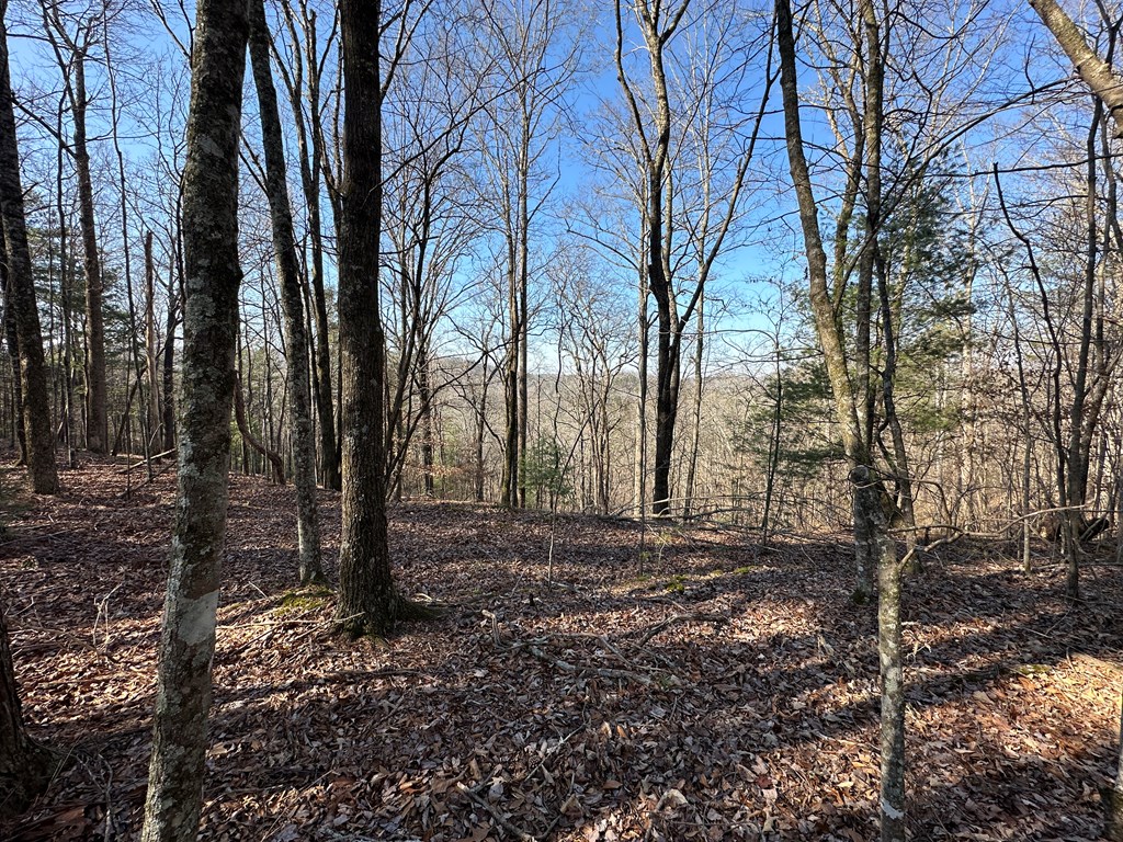 Lot 1640 Hunter Drive Ranger, GA 30734 - Photo 7 of 9 a view of backyard with green space