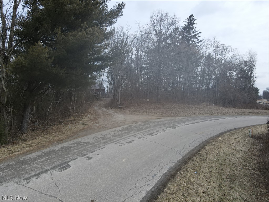 Buckeye Ridge Road Chesterhill, OH 43728 - Photo 3 of 10 Gallery Image 3
