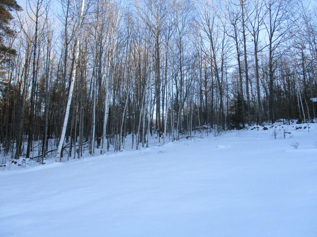 117 Smithfield Road Belgrade, ME 04917 - Photo 28 of 30 Smithfield Road Belgrade 080 (29) (Custo