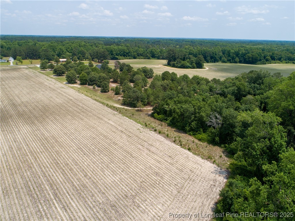 6226 Deerstand Road Wade, NC 28395 - Photo 47 of 50 Gallery Image 47
