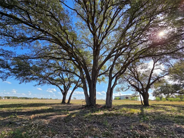 a view of a yard with an trees