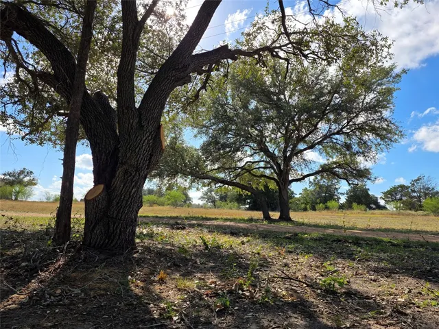 a view of a yard with an outdoor space