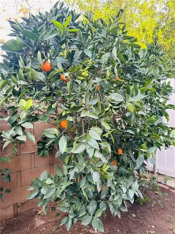 $2,800 | 602 Dunes Court, Ontario, CA 91761