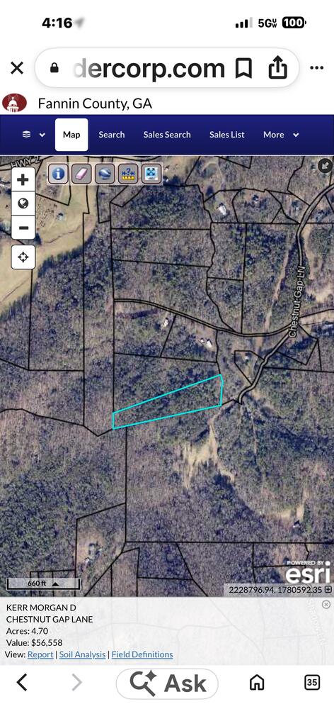 4.70-ac Chestnut Gap Lane Blue Ridge, GA 30513 - Photo 28 of 28 Gallery Image 28
