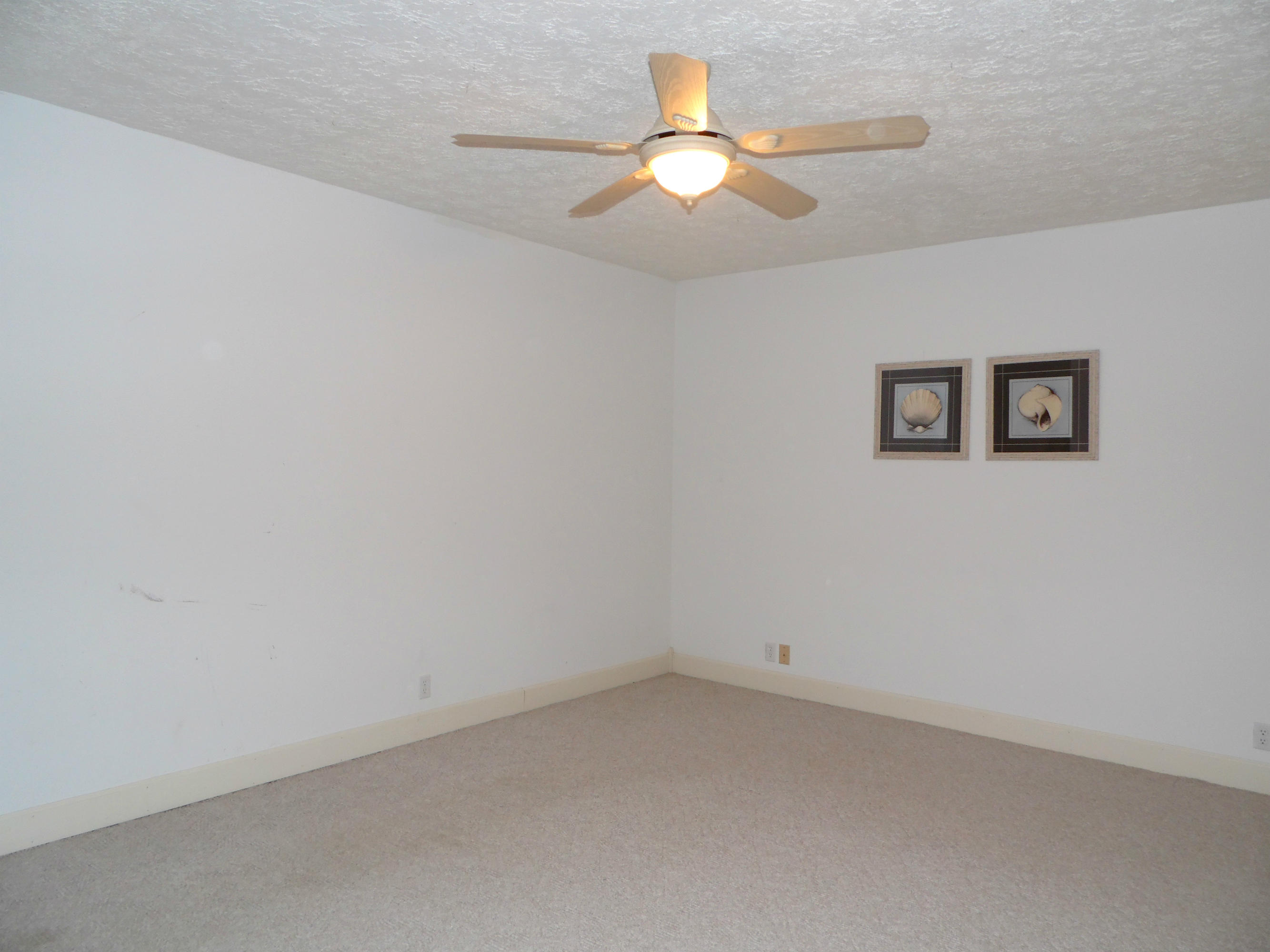 367 Eagle Bluff Road Jacksboro, TN 37757 - Photo 30 of 36 SAM_0638