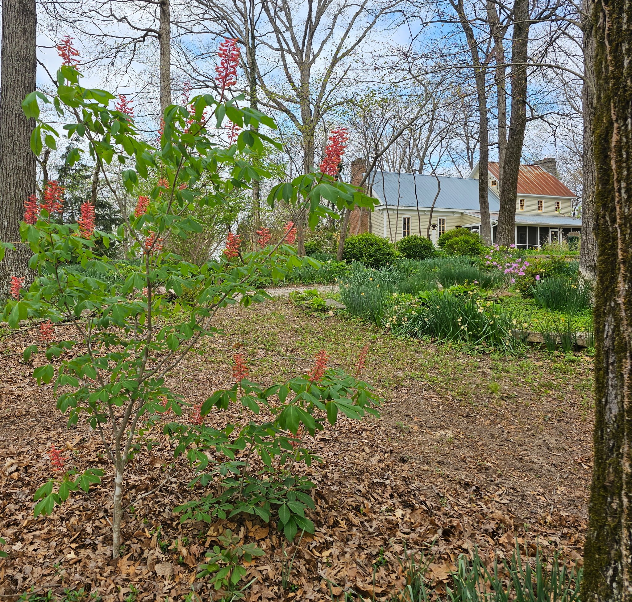 5180 Fire Tower Road Franklin, TN 37064 - Photo 65 of 98 a view of a garden with a house