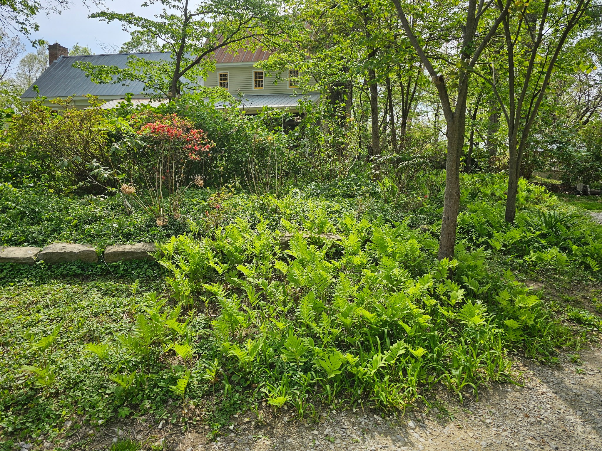 5180 Fire Tower Road Franklin, TN 37064 - Photo 67 of 98