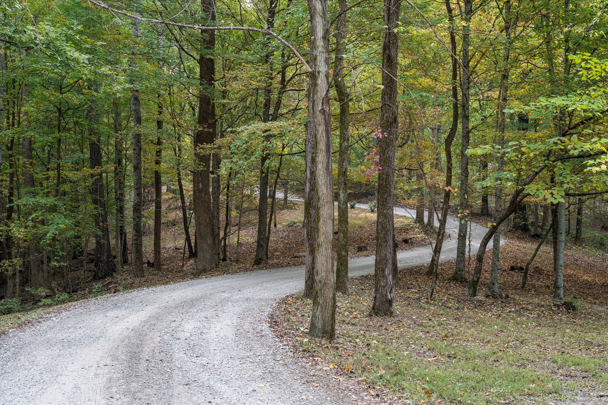 5180 Fire Tower Road Franklin, TN 37064 - Photo 80 of 98 a backyard of a house with lots of green space