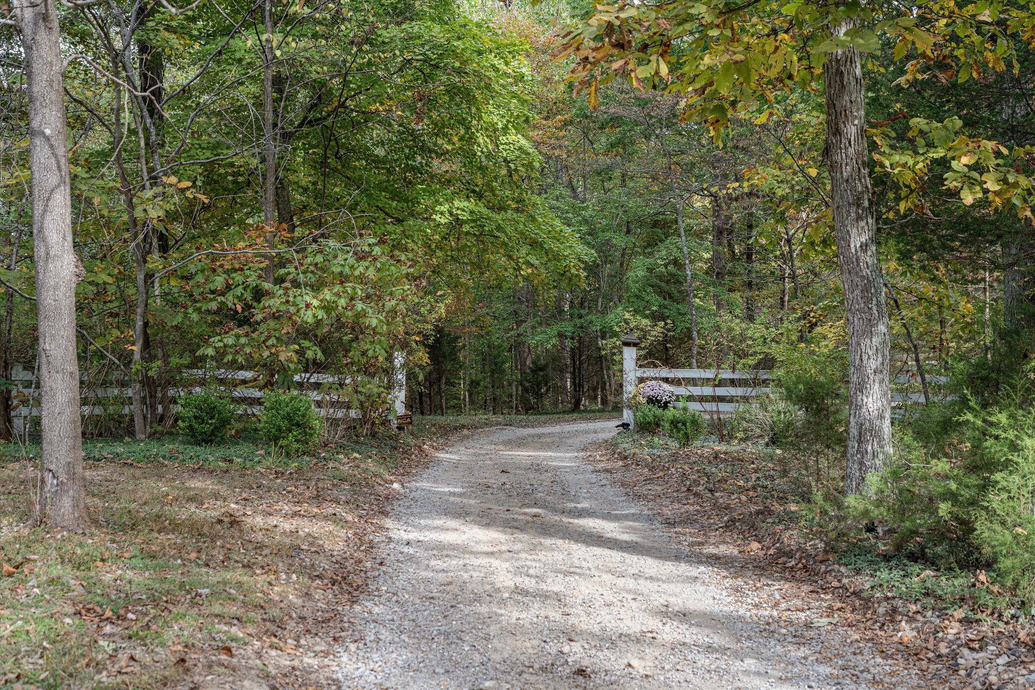 5180 Fire Tower Road Franklin, TN 37064 - Photo 82 of 98 a view of a yard with large trees