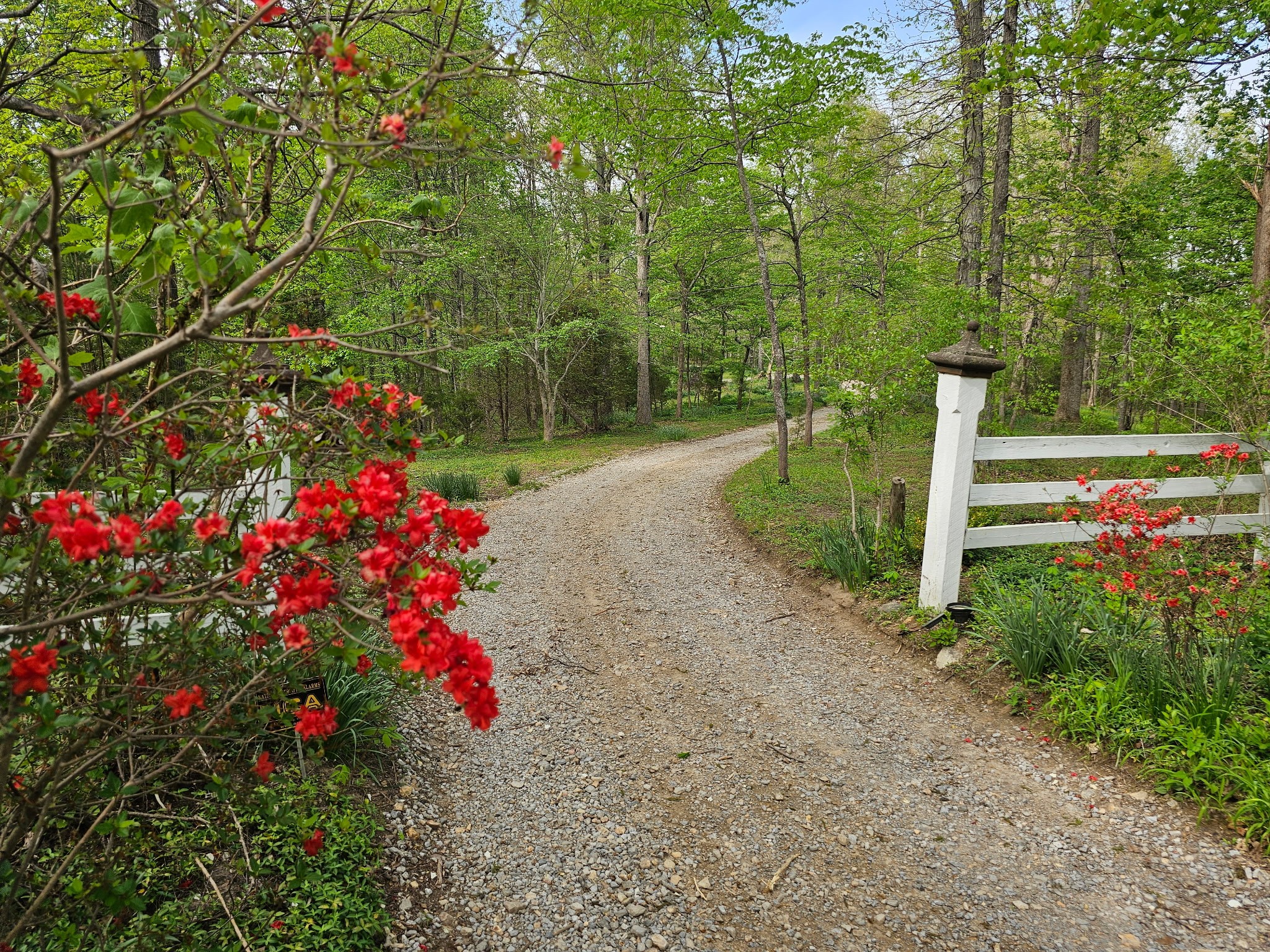 5180 Fire Tower Road Franklin, TN 37064 - Photo 83 of 98