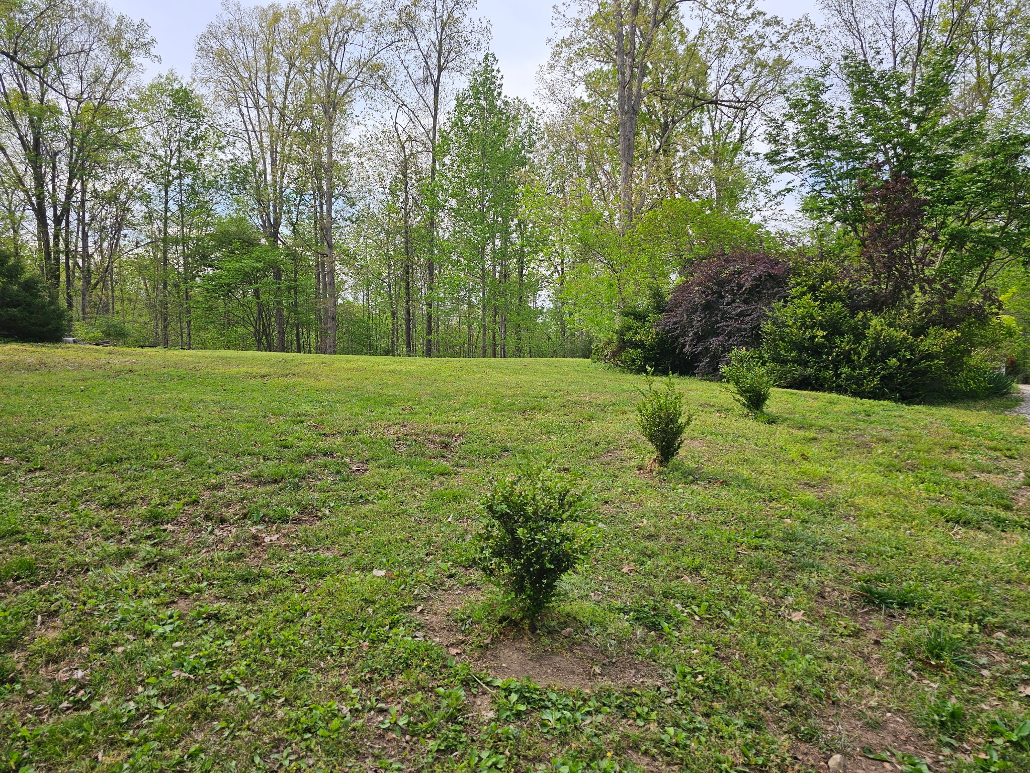 5180 Fire Tower Road Franklin, TN 37064 - Photo 85 of 98