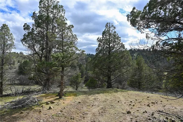 $4,990 | 0 Willit Way, Montague, CA 96064
