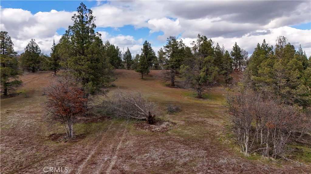 0 Willit Way Montague, CA 96064 - Photo 13 of 14 a view of a forest with trees