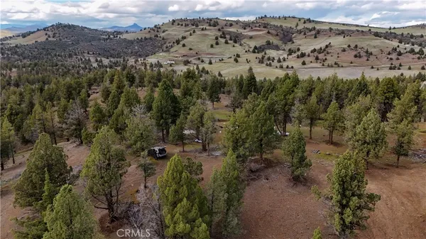 an aerial view of mountain with trees