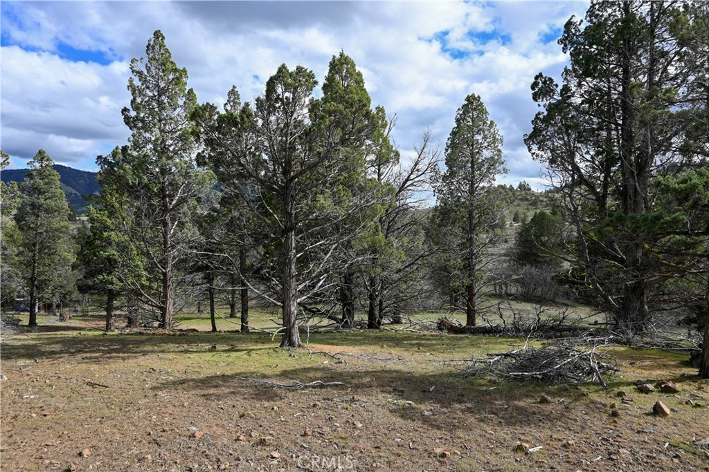 0 Willit Way Montague, CA 96064 - Photo 2 of 14 a view of a yard with a tree