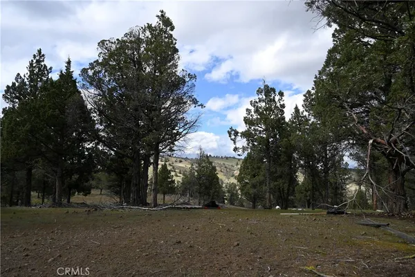 a view of a outdoor space with trees