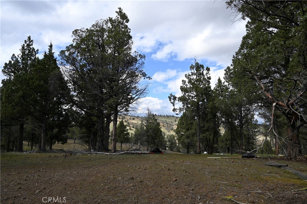 0 Willit Way Montague, CA 96064 - Photo 5 of 14 a view of a outdoor space with trees