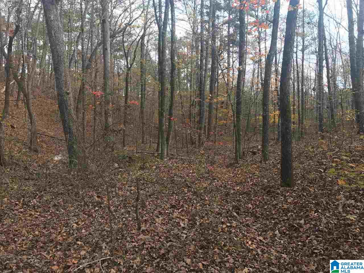 3415 Logan Martin Dam Road, Unit 48 / ACRES Vincent, AL 35178 - Photo 4 of 32