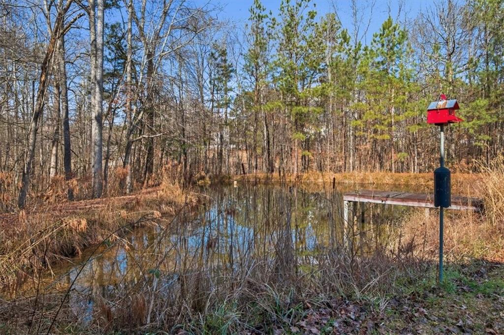 47 Trio Path Dallas, GA 30157 - Photo 9 of 71