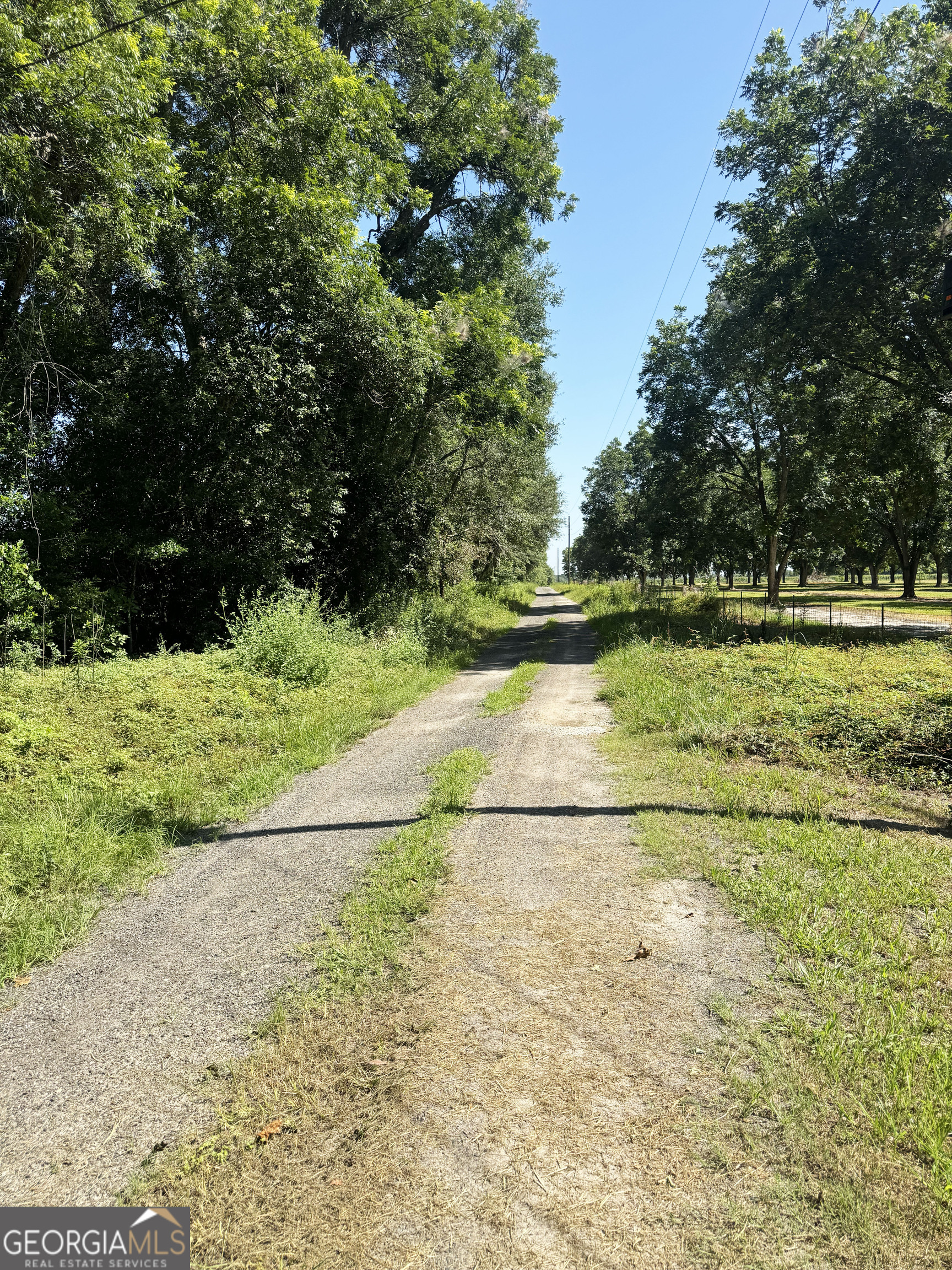 0 Tired Creek Road Whigham, GA 39897 - Photo 7 of 9