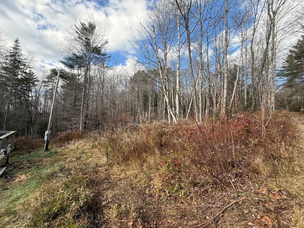 7 Breezy Point Road Warren, NH 03279 - Photo 3 of 46 Gallery Image 3