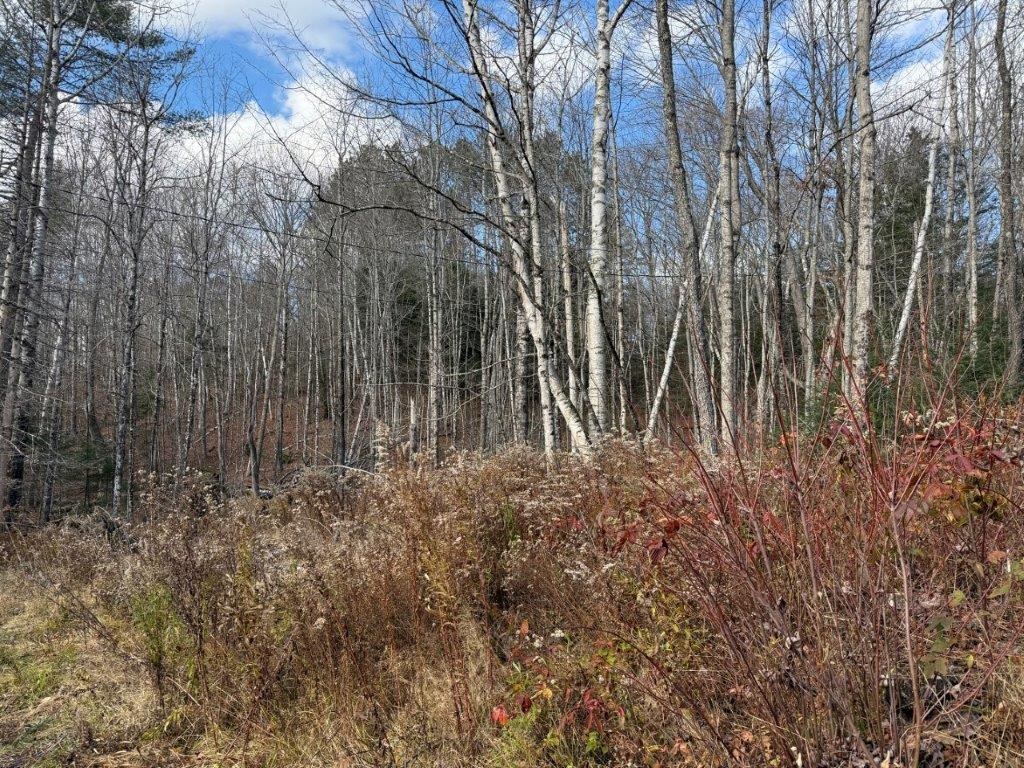 7 Breezy Point Road Warren, NH 03279 - Photo 33 of 46 Gallery Image 33