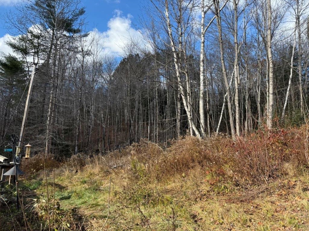7 Breezy Point Road Warren, NH 03279 - Photo 34 of 46 Gallery Image 34