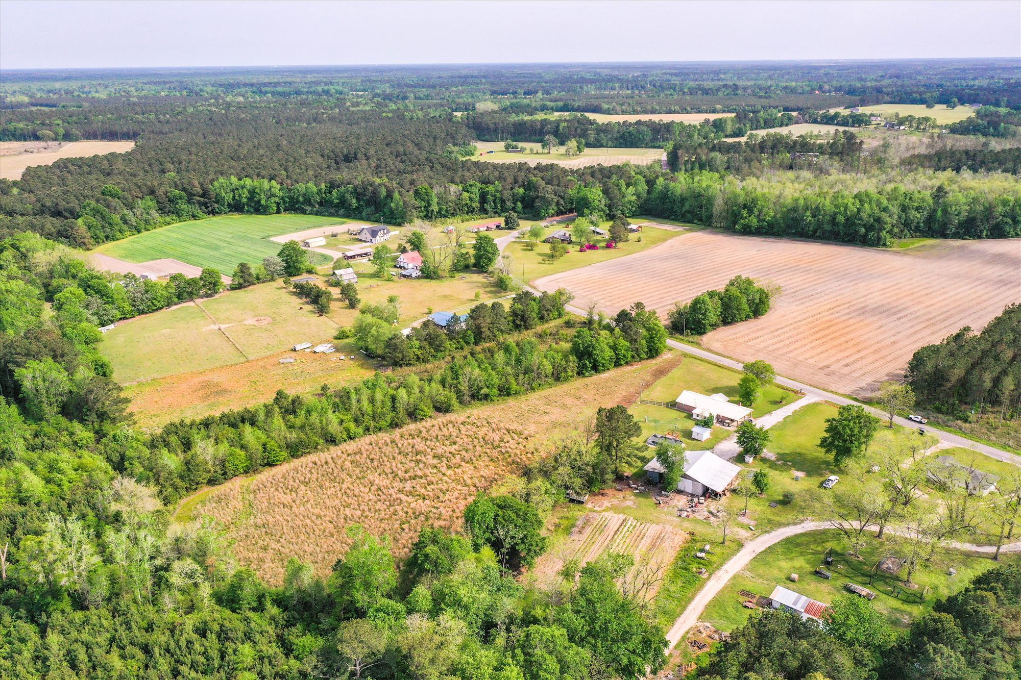 Tbd 1st Bend Road Harleyville, SC 29448 - Photo 7 of 18 Exterior-Aerial View-DBI-33-PtkAW8et-977