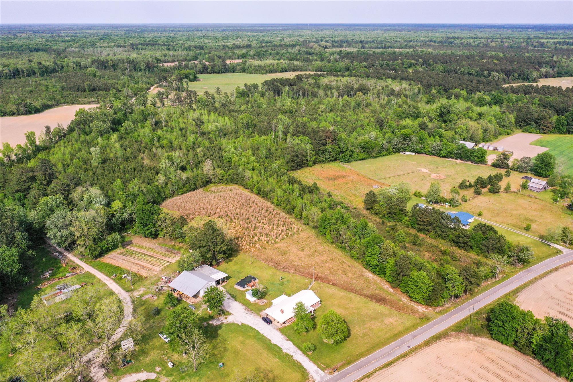 Tbd 1st Bend Road Harleyville, SC 29448 - Photo 8 of 18 Exterior-Aerial View-DBI-35-ER9Bd8xI-977