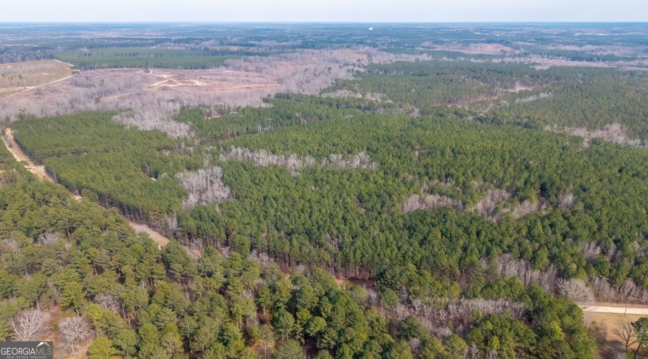 0 St Mary's Road Southwest, Unit A Crawfordville, GA 30631 - Photo 4 of 14