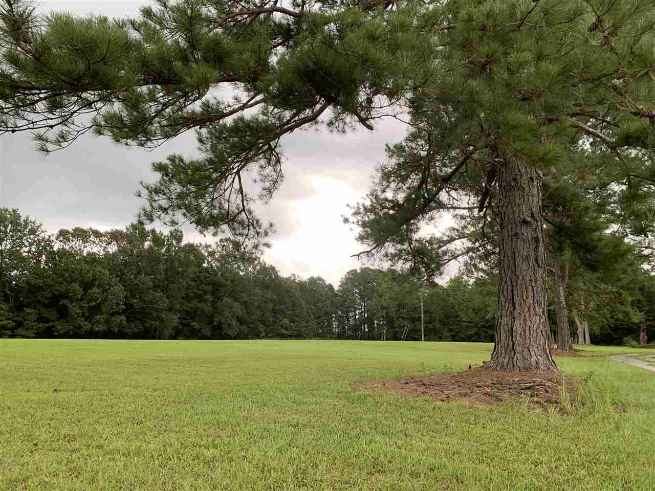 0 Coal Bluff Road, Unit 1 Lena, MS 39094 - Photo 1 of 5 Photo 1