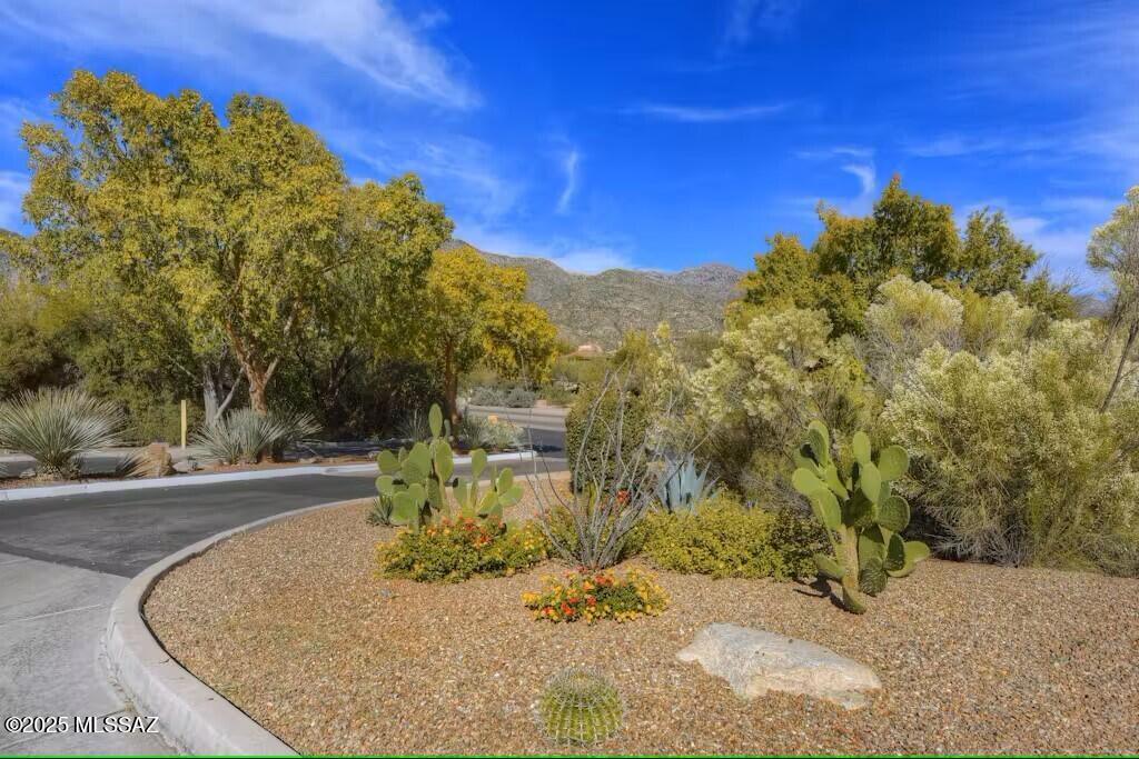 5855 North Kolb Road, Unit 3209 Tucson, AZ 85750 - Photo 28 of 31 Gallery Image 28