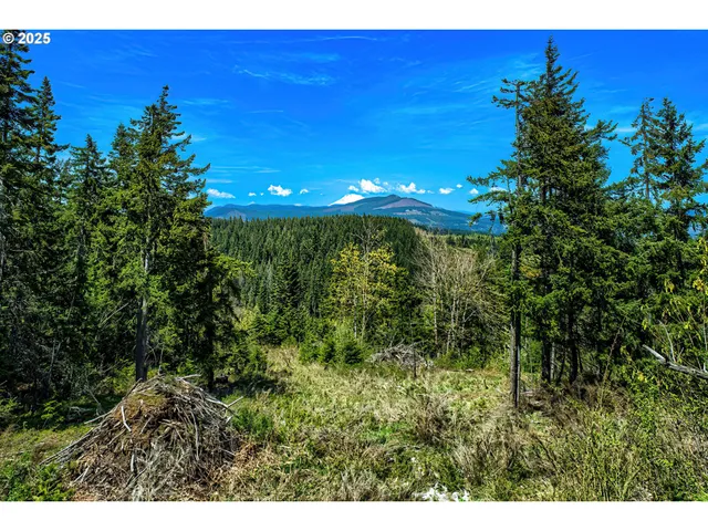 $775,000 | 5195 York Hill Road, Hood River, OR 97031