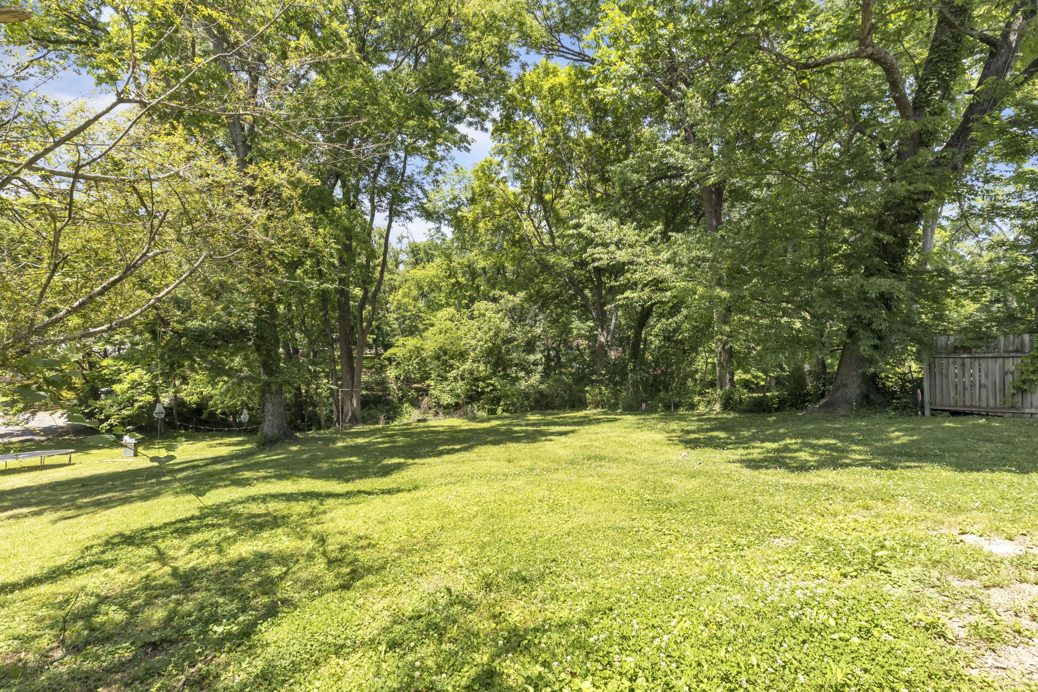 115 North Main Street Springfield, TN 37172 - Photo 7 of 24 a view of a yard with a tree