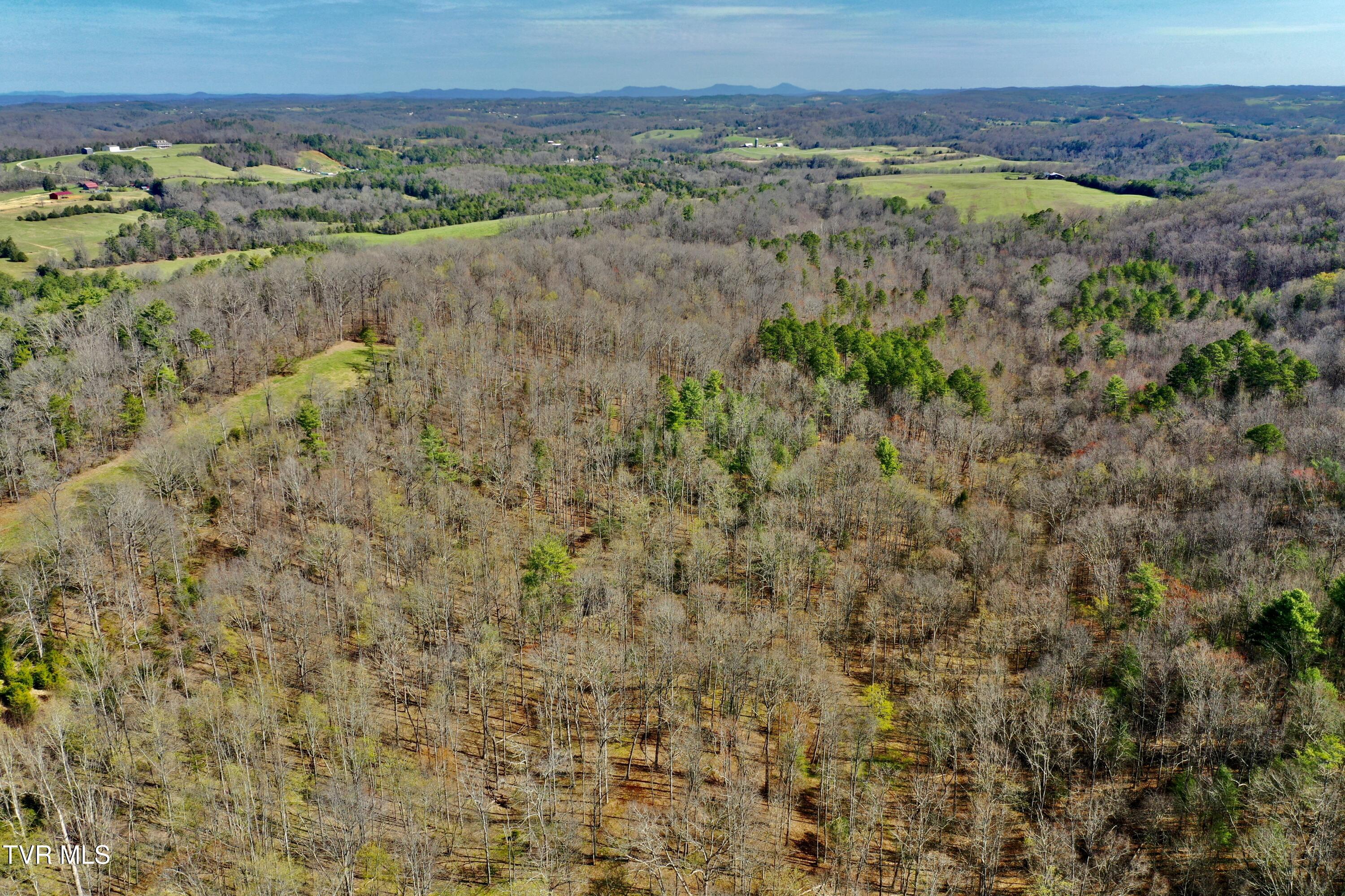 6181 Poplar Springs Road Greeneville, TN 37743 - Photo 98 of 103 IMG_6926