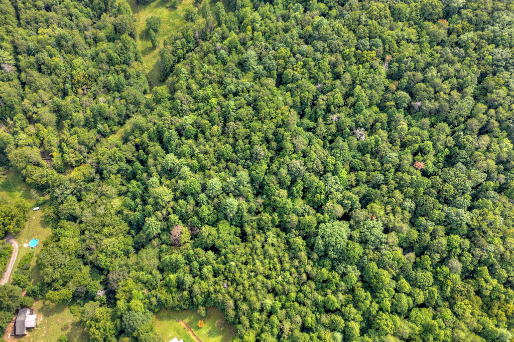 4.70-ac Chestnut Gap Lane Blue Ridge, GA 30513 - Photo 6 of 28 Gallery Image 6
